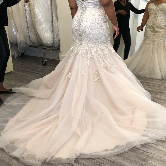 Wedding Dress - Picture 4 of 4